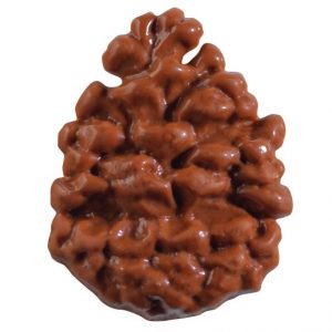 065298 PCB PINE CONES CL 4.5X4 CM 40PCS ***S/CD***