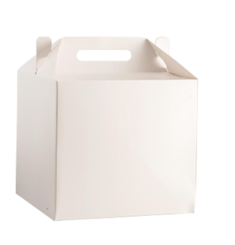 WITTE CADEAUDOOS 28X28XHT26CM MET HANDVAT