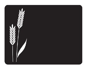 KIT 20 ARDOISES 60X90MM EP1MM IMPRESSION EPI --