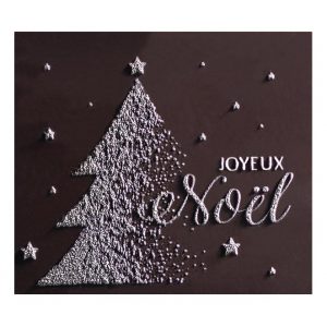 065051 PCB RECTANGLES CN WITH RELIEF  JOYEUX NOËL 5.1X4.5 CM 48PCS ***s/cd***