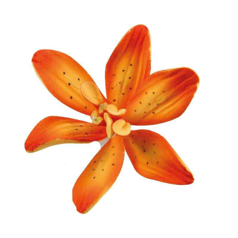 1066045 LILY LARGE 25PCES ***S/CDE***