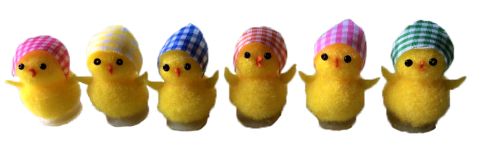POUSSINS JAUNES FOULARDS 3CMBTE 36PCES