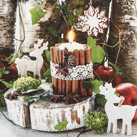 HOME FASHION NAPKIN 33X33CM DECO COZY PACK OF 20PCS