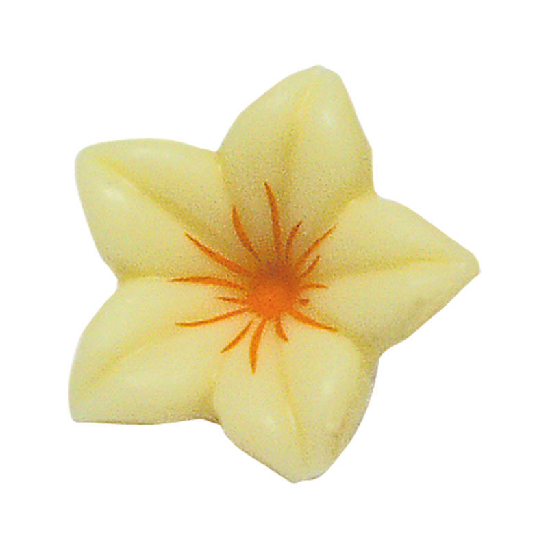 1054013 FLEUR BLANCHE 76PCES ***S/CDE***