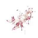 ROBOT COUPE DISC "PM" STICKS 2X2MM