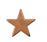 [08054412] 2015576 PLAQUETTE ETOILE BRONZE CHOCLAT Ø 55MM 60 PIÈCES