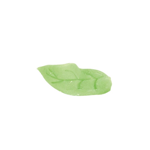 [08081099] 1061018 PETITE FEUILLE 600PCES ***S/CDE***