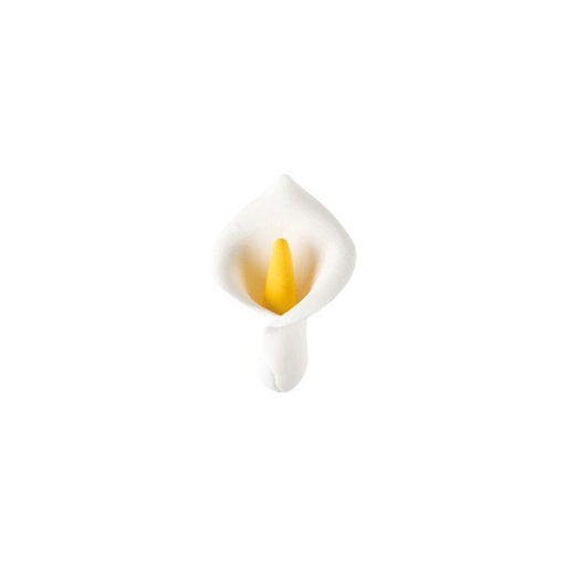 [08032075] 1066061 ARUM MOYEN 5CM 50PCES ***S/CDE***