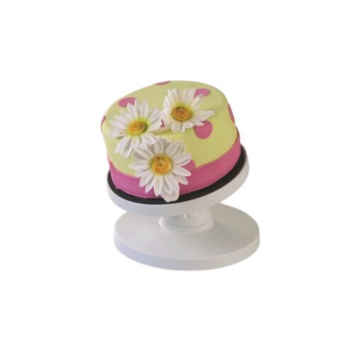 [50803030] PLATEAU TOURNANT DIAM 23XH14CM INCLINABLE