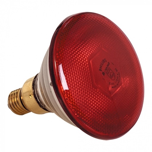 [57660457] LAMPE SEULE ROUGE 175W POUR ABAT-JOUR