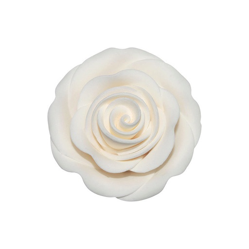 [08081253] 1066051 ROSE BLANCHE GRANDE 36PCES ***S/CDE***