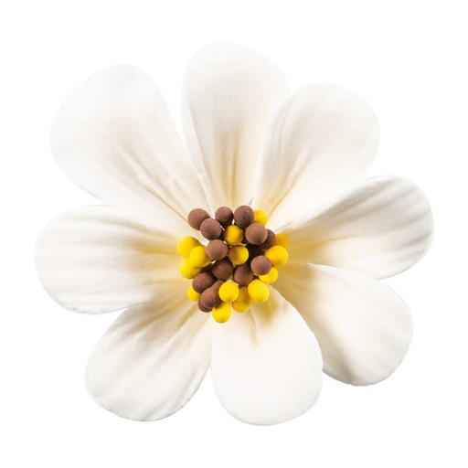 [08054316] 1066098 FLEUR COSMOS WHITE GUMMY 5CM 36 PCES ***ON ORDER***