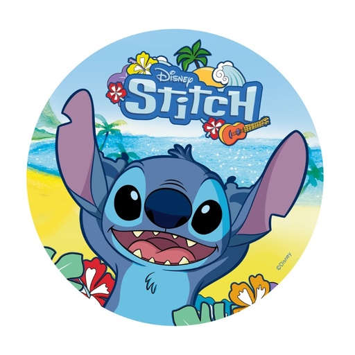 [00067390] DISQUE AMIDON STITCH Ø 20CM 