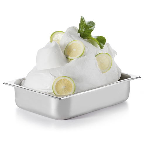 [00068198] MEC3 08911 LEMON + 500 FAST 1.25KG