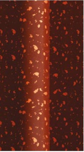 [00070765] 092108 PCB FEUILLE TRANSFERT TACHE BRONZE 265X125MM 20 PCES