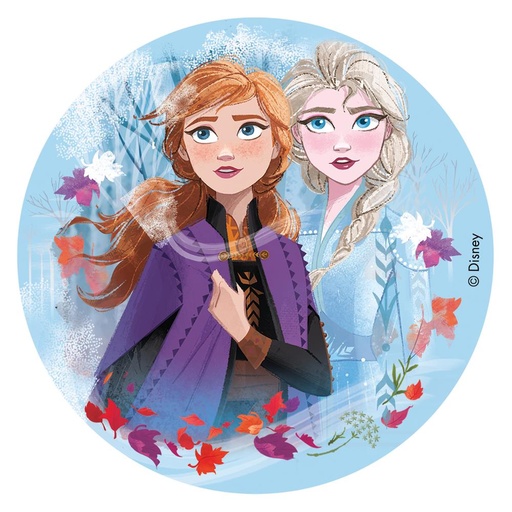 [08041323] 231347 DEK  ZETMEELSCHIJF 16CM FROZEN 2 =STUK