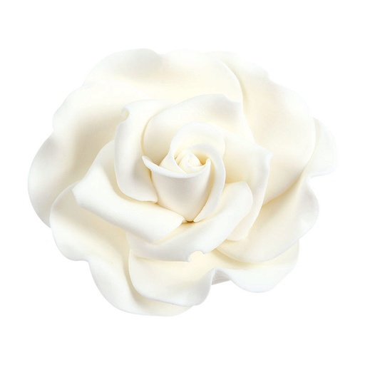 [08081234] 1066026 ROSE GRANDE BLANCHE 16PCES