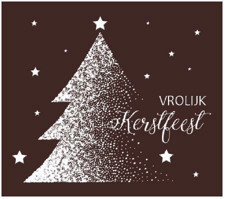 [08058040] 083085 PCB RECHTHOEKEN CN MET RELIËF VROLIJK KERSTFEEST 51X45 MM 48 STUKS