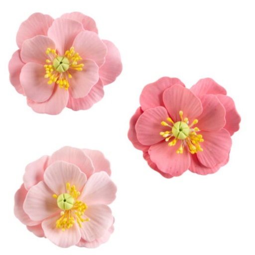[08030918] 1066054 ASSORTIMENT LENTEBLOEMEN 4,5 CM 25 STUKS