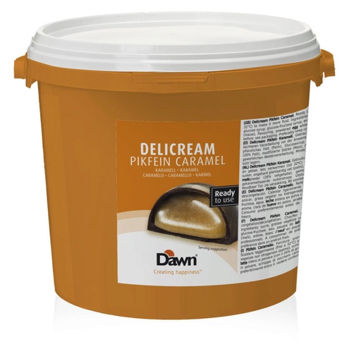[05100944] DAWN DELICREAM PIEKFIJN CARAMEL 5KG = EMMER