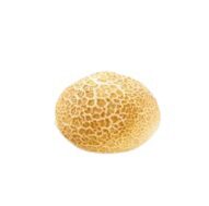 [02040209] ❄️VAMIX B799 TIGER BUN Ø 10CM PAC 36X70GR