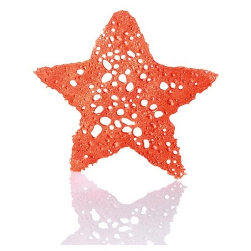 [08056007] 070400 PCB OPALINES ETOILES BRONZE 2 DESIGNS 32 PIECES ***S/CD***