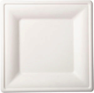 [45000089] DUNI ASSIETTE CARREE BAGASSE BIO 26X26CM 10 PCES