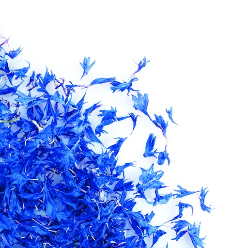 [08058131] 088211 PCB FLEURS DE BLEUETS BLEUS SÉCHÉES 8GR