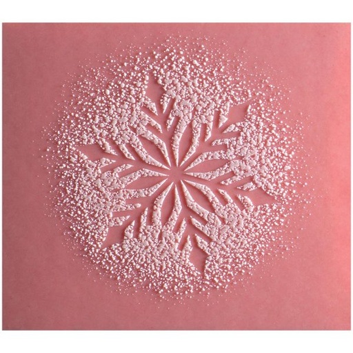 [08056674] 060347 PCB AARDBEI STUKJES MET SNEEUWRELIËF 3 ONTWERPEN 8,5X7,5 CM 72 STUKS ***S/CD***
