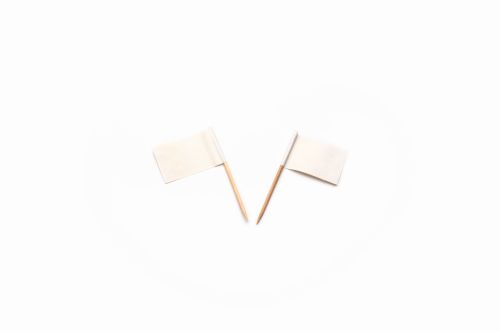 [53522235] PIQUE AVEC DRAPEAUX BLANC FLOTTANT 500 PCES FOST+ INCLUS