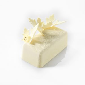[08057926] 074238 PCB MOULDS ENTREMETS INGOT 16CM PR 30P 16X8 CM H.5.5 CM WITH LEGS 30PCES ***S/CD***