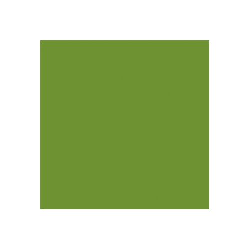 [60700599] DUNI SERVIETTE "BIO" 3PLIS 40X40CM VERT LEAF GREEN12PCS