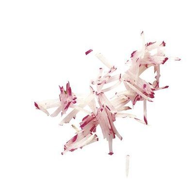 [62250244] ROBOT COUPE DISC "PM" STICKS 2X2MM