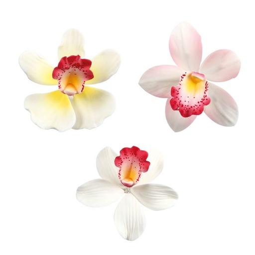 [08081245] 66042 ASS KLEINE ORCHIDEE 12 STUKKEN = DOOS