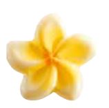 [08057138] 061313 PCB TIARE BLOEMEN CB 2.5X2.5 CM 192PCS ***S/CD***