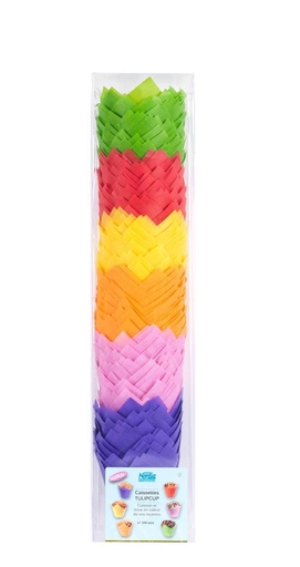[41801995] BLISTER 240 TULIPCUP 50/80MM 6 COLOR ASSORTMENT