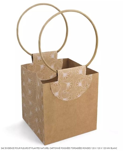 [61700163] KRAFT PAPIEREN TAS MET KOORDHANDGREPEN 120X120XH/125MM 10 STUKS FOST+ INBEGREPEN