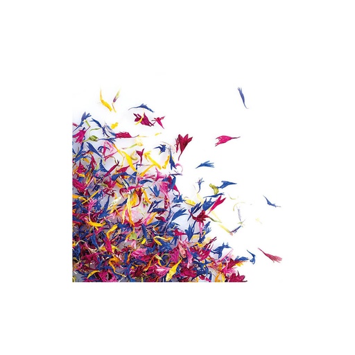[08058134] 088214 PCB DRIED FLOWER MIX 12GR