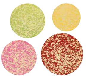 [08057113] 061285 PCB ROND CB SPECKLED 5 ONTWERPEN 360 STUKS ***S/CD***