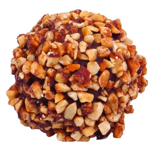 [11060280] PRALINE BRUYERRE ROCHER LAIT 1.1 KG
