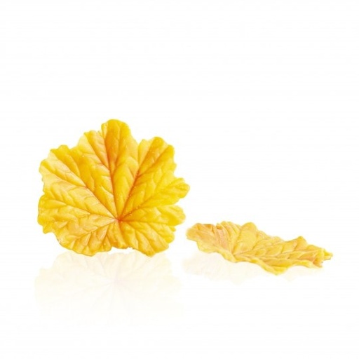 [08082229] 77688 SPRING LEAF YELLOW 24 STUKKEN =DOOS