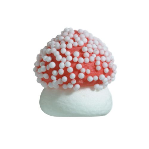 [08031313] 1051321 CHAMPIGNON SUCRE GRAND DIA 2.1CM 180CPES= BT***S/CD***
