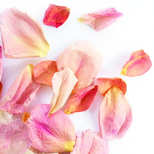 [08058140] 088210 PCB LARGE FREEZE-DRIED ROSE PETALS PALE PINK 2GR