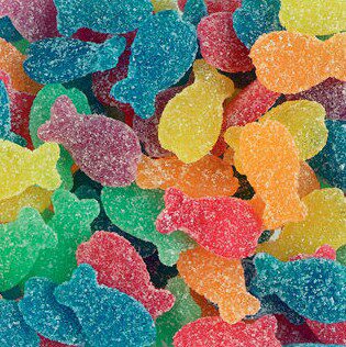 [14100385] LUTTI TROPICAL FISH CANDIES BULK 3KG