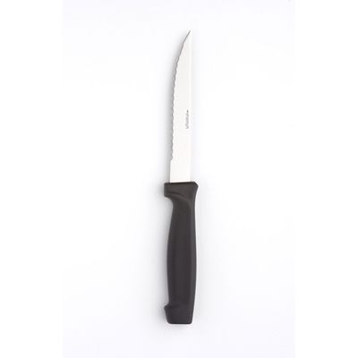 [53421755] ETERNUM COUTEAU STEAK BASIC POINTU MANCHE POLY