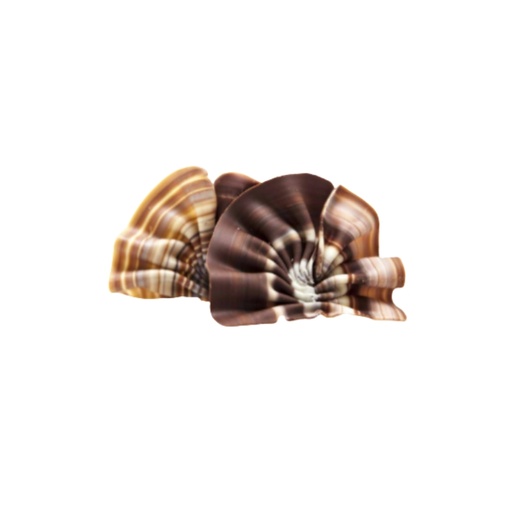 [08058432] 2101549 FORÊT MARBLE 6,5X4,5 CM 1 KG (+/- 165 PCS)  ***S/CDE***
