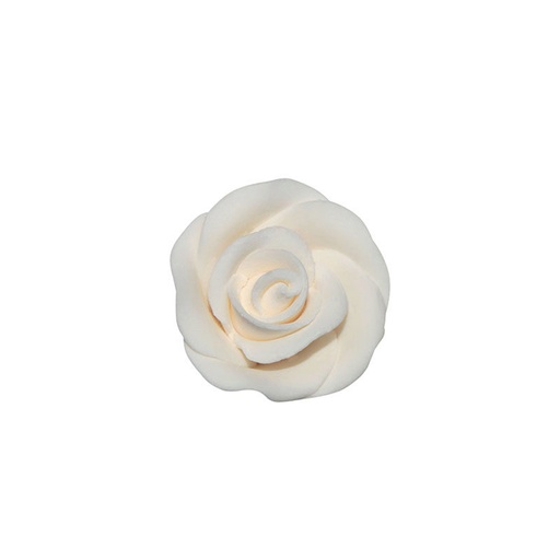 [08081255] 66053 WITTE ROOS KLEIN 64 STUKKEN = DOOS