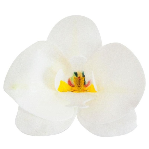 [08041896] ORCHIDEE BLANCHE EN AZYME 10 PCES