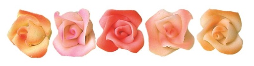 [08020597] ROSE MASSEPAIN AERO 5 PETALES 5 PCES