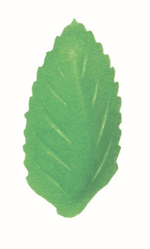 [08038002] FR01P FEUILLES HOSTIE PETIT MODELE 41 X 21 MM1000PCES